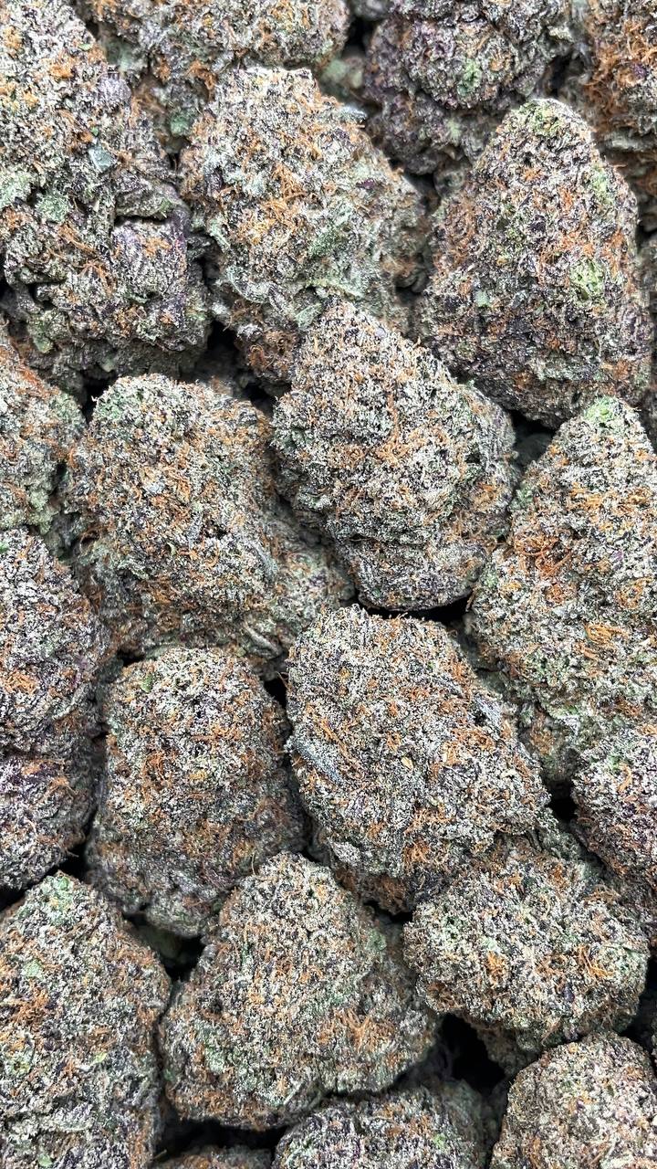Gas God PK God