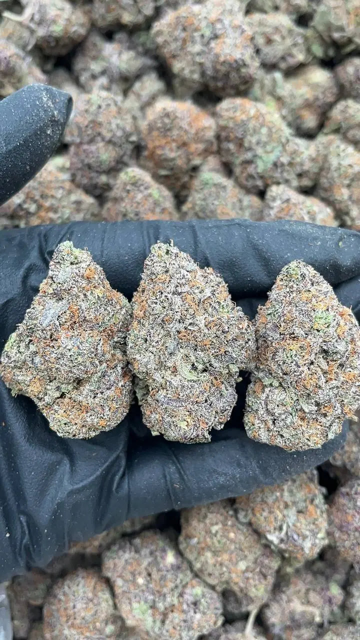 Gas God PK God