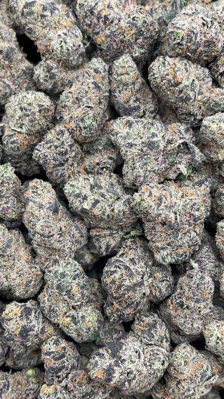 Cali Gas Mediums Elon Packs