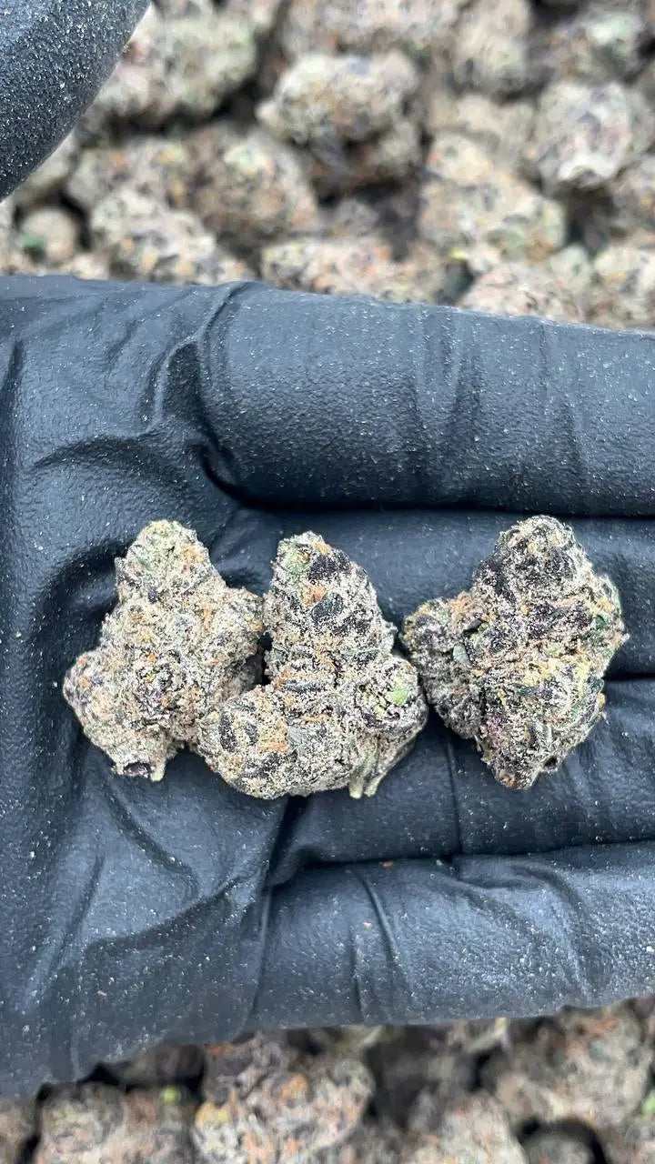 Cali Gas Mediums Elon Packs