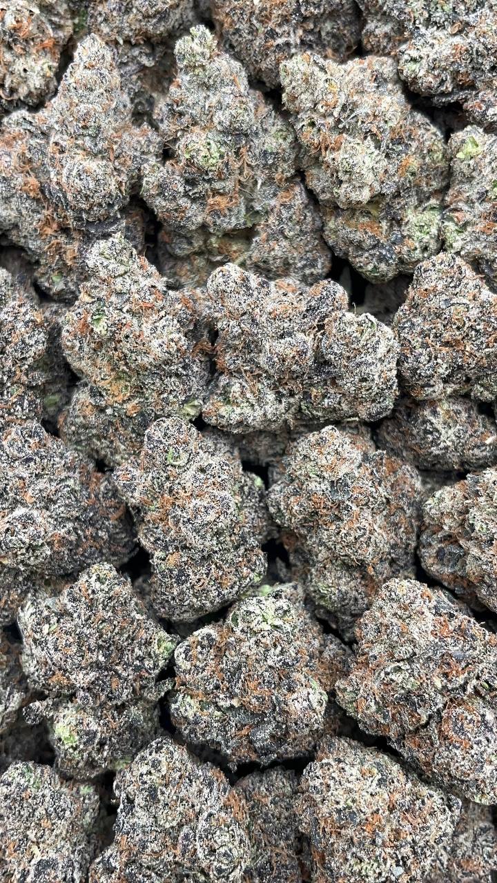 Slurricane PK God
