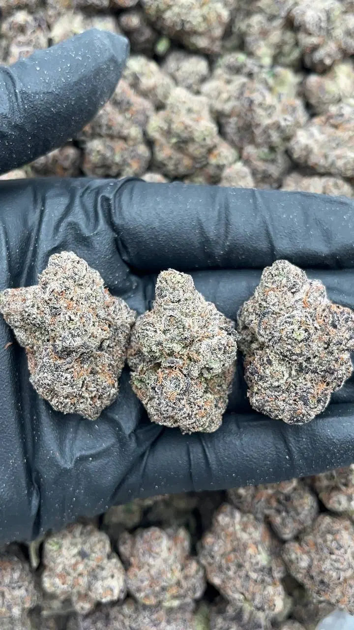 Cotton Candy Runtz Elon Packs