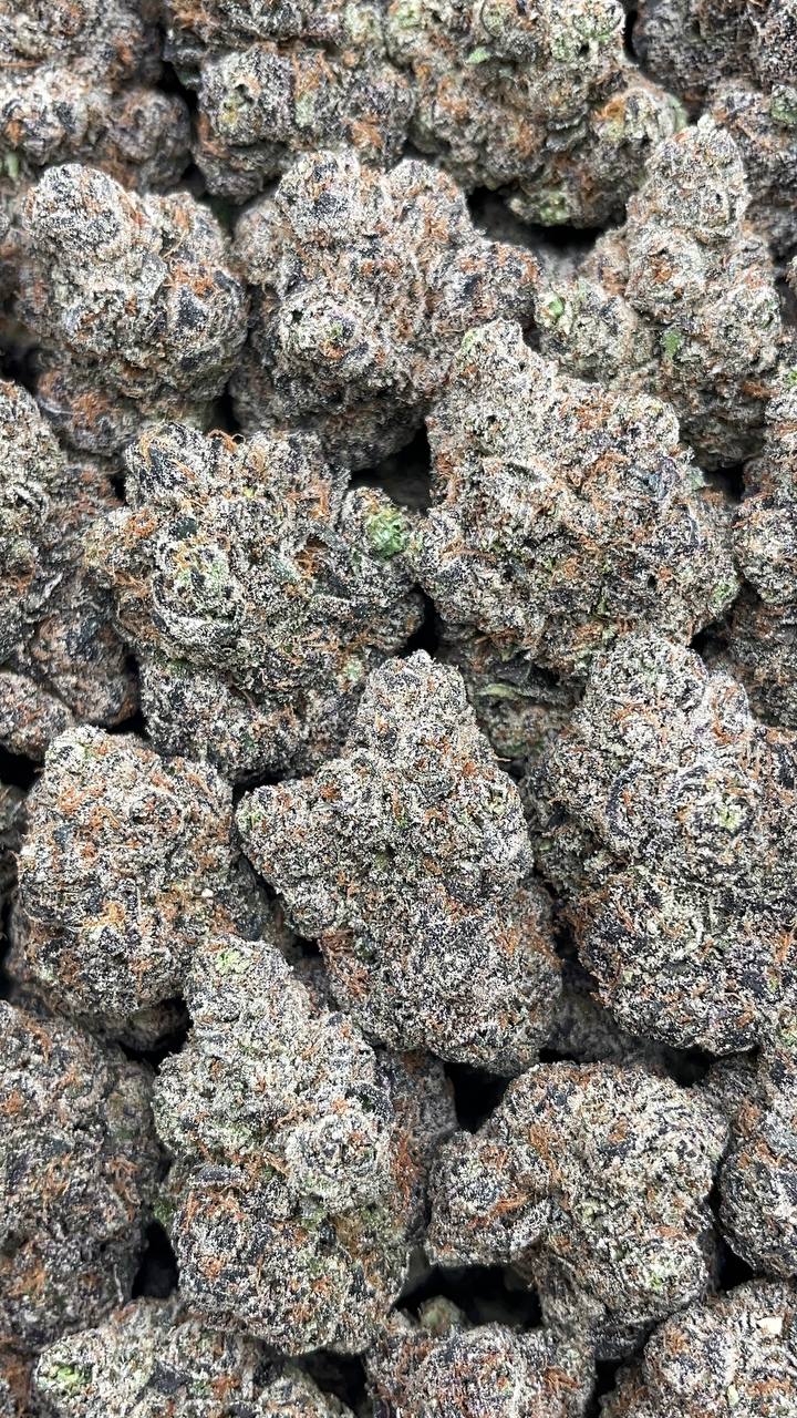 Cotton Candy Runtz Elon Packs