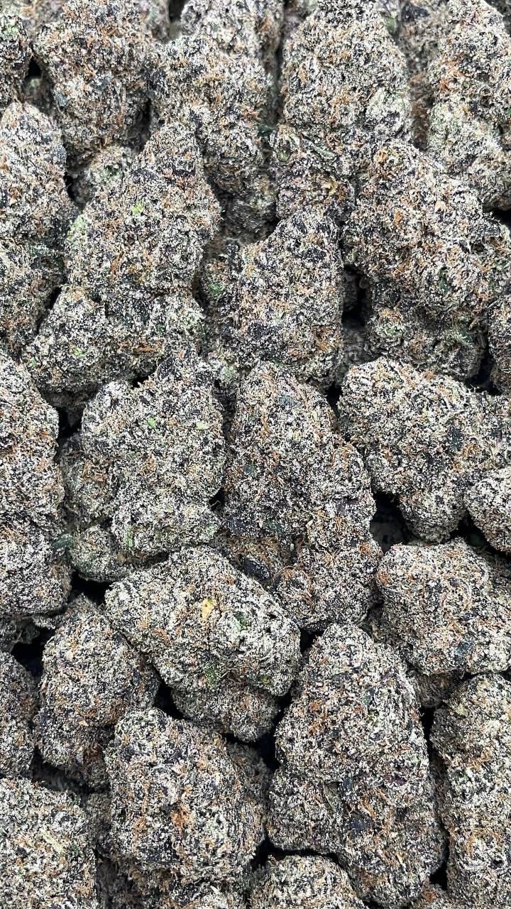 Jet Fuel Gelato Elon Packs