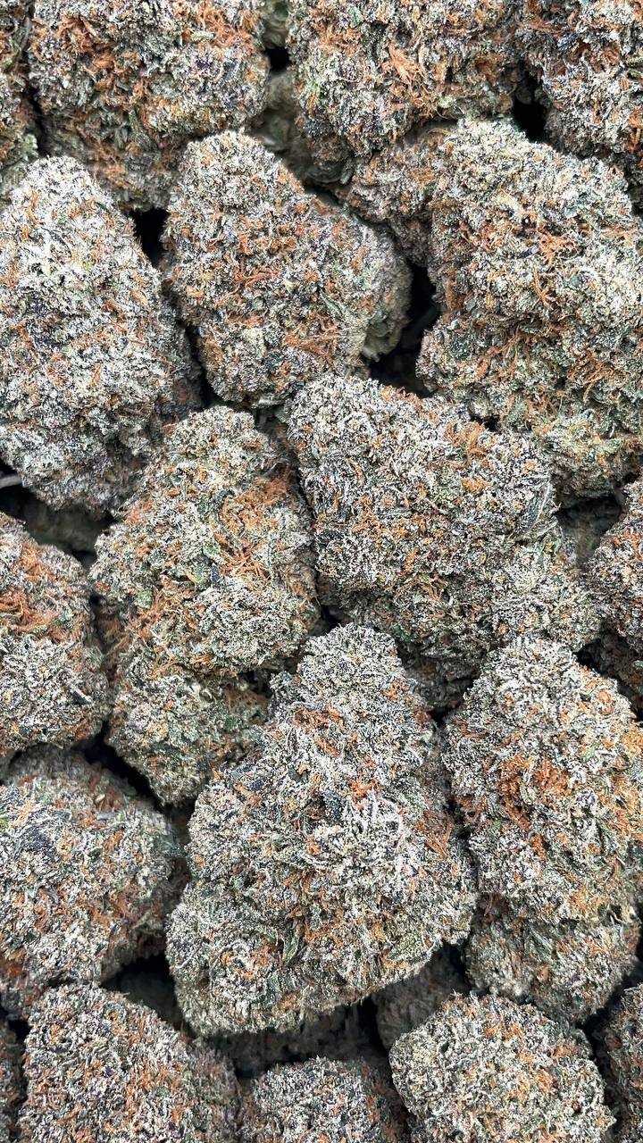 Cherry Gorilla Elon Packs