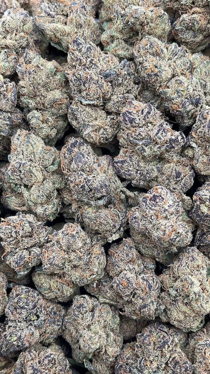 Berry Gelato Elon Packs