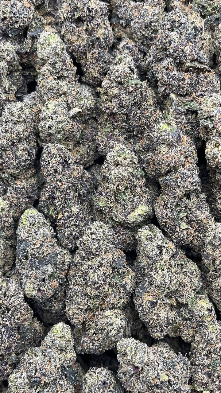 Black Runtz Elon Packs