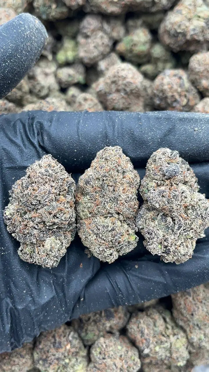 Cherry Gas Elon Packs