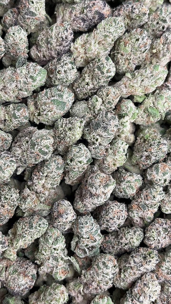 LA Pop Rock Smalls - (Licensed) Elon Packs