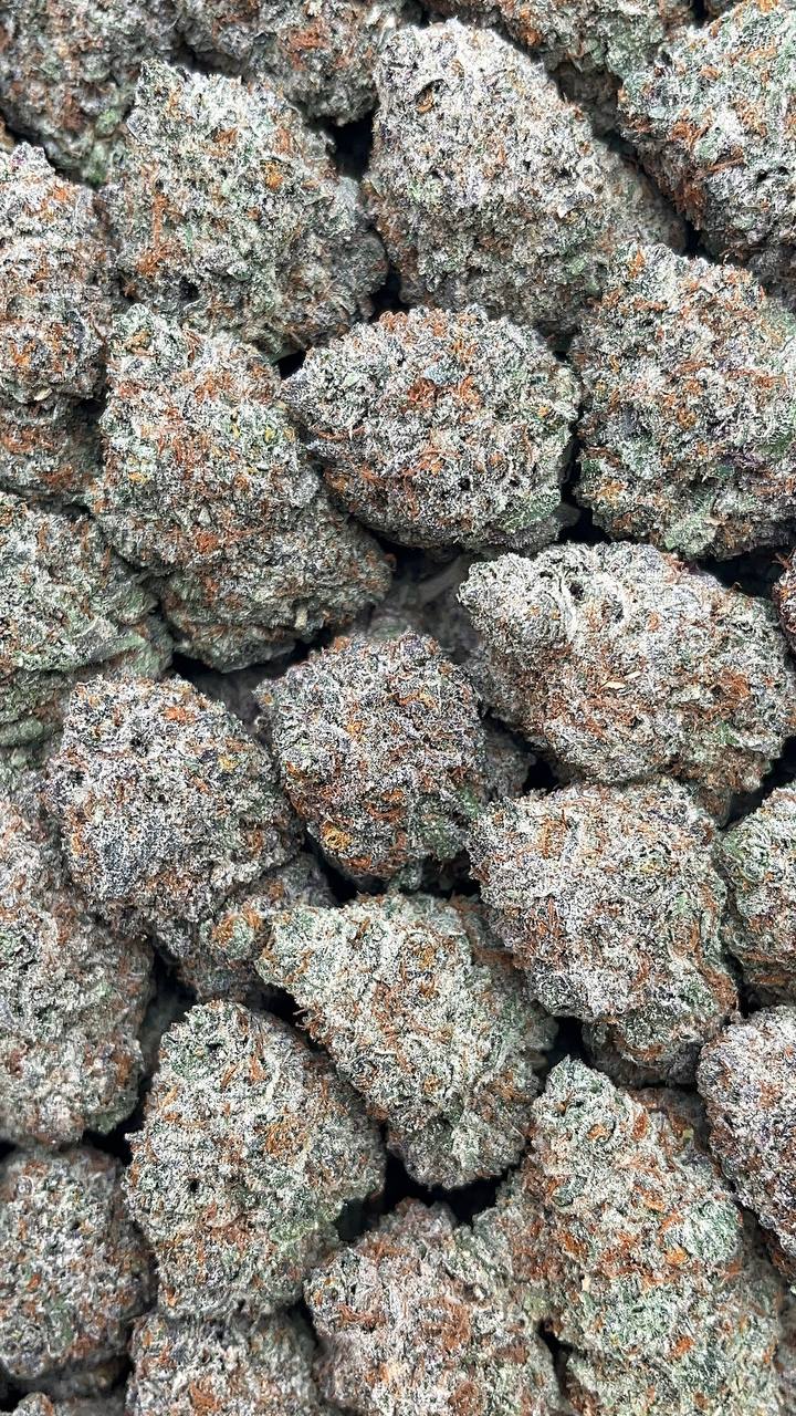 Blue Truffle Elon Packs