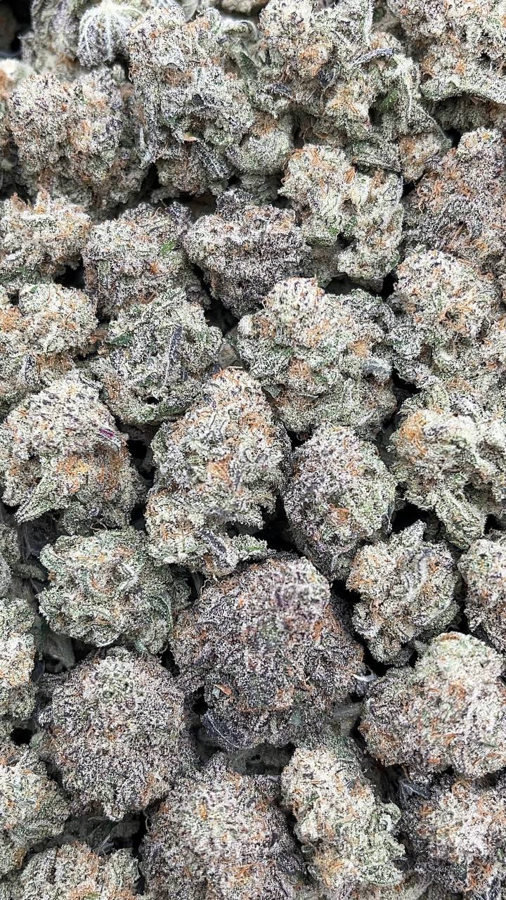 Alien Cookies Smalls Elon Packs