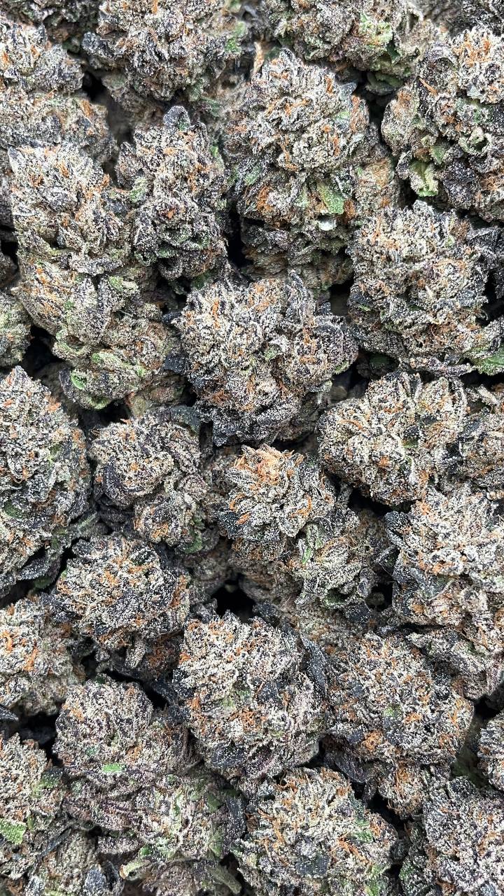 High Noon Irish Cream(Organic) Elon Packs