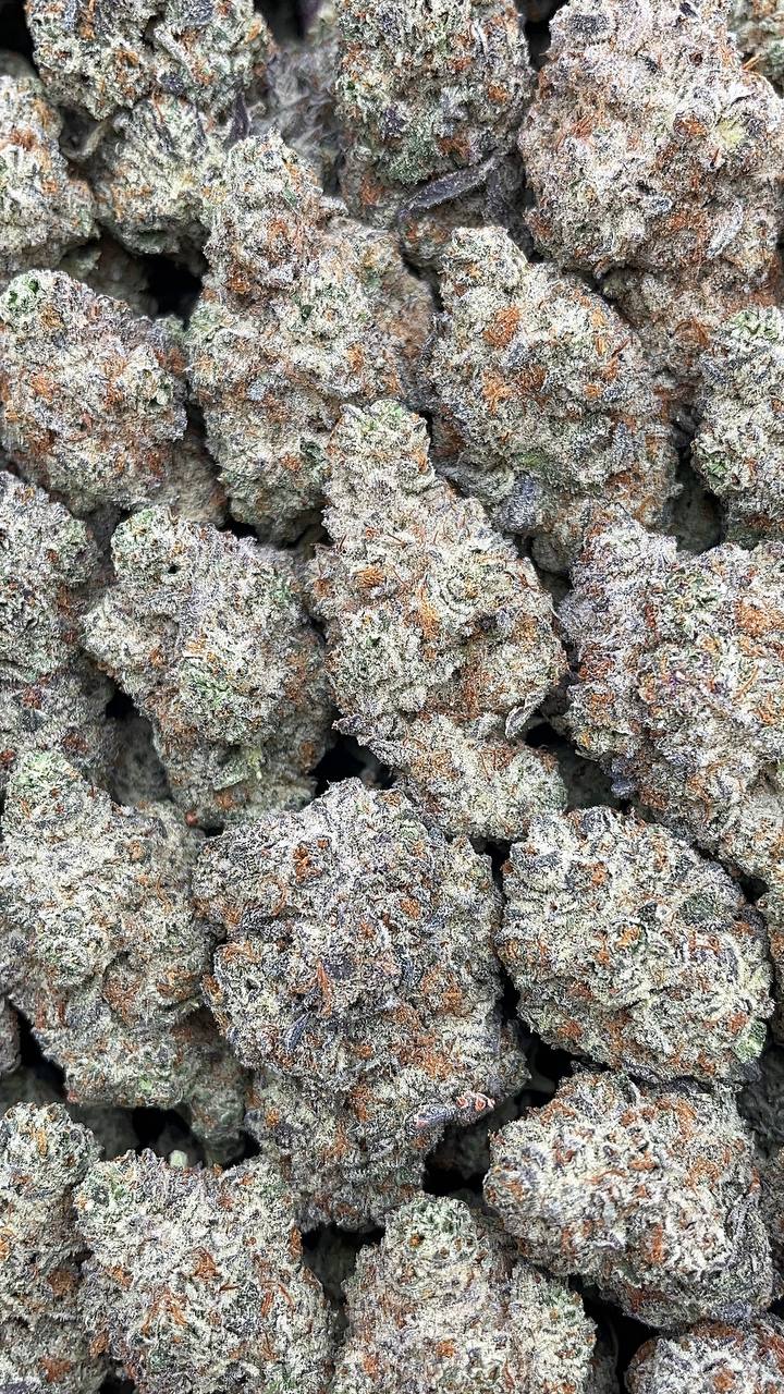 Oreo Blizzy Elon Packs