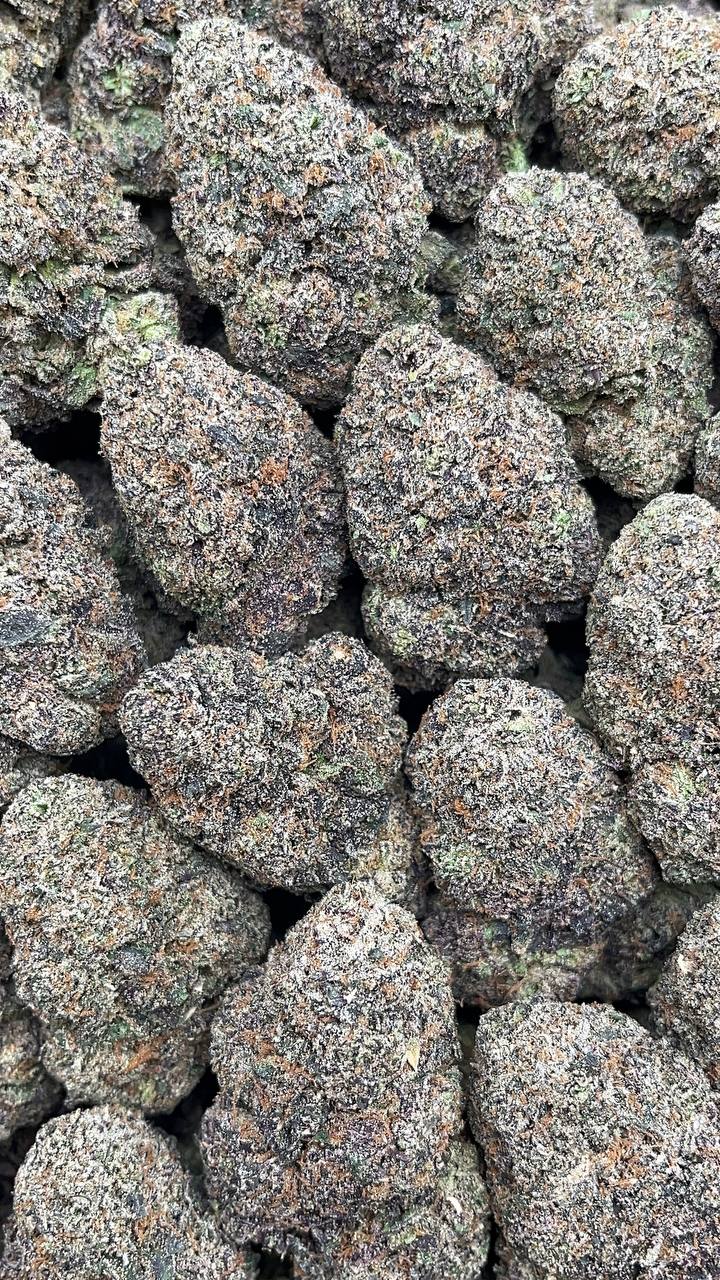 Lemon Cherry Gelato - PK574 PK God
