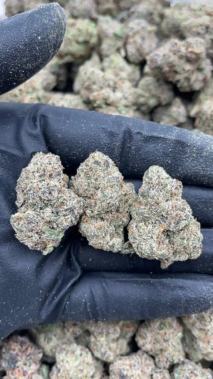 Ace Candy (Licensed) Elon Packs
