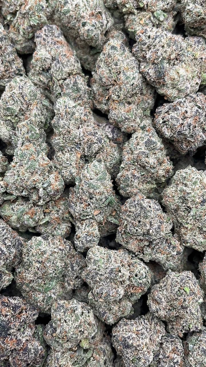 Ace Candy (Licensed) Elon Packs