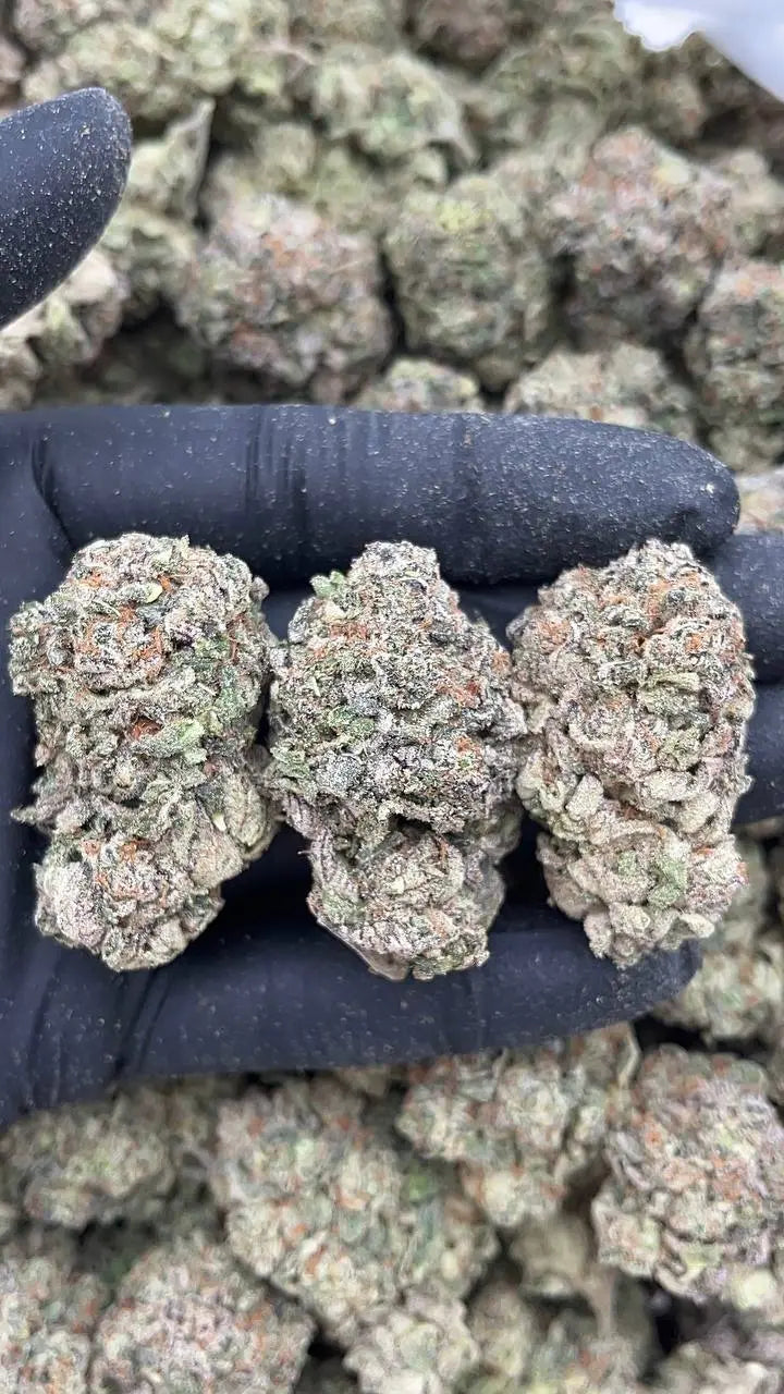 White Strawberry Skunk PK God