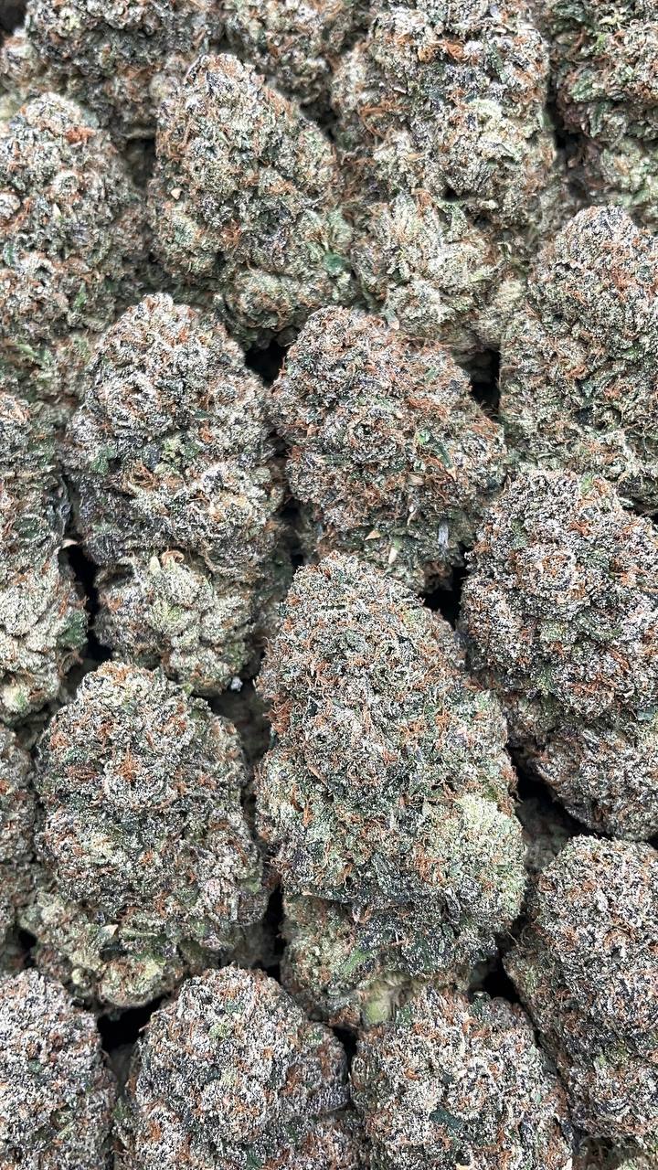 Candy Mochi Elon Packs