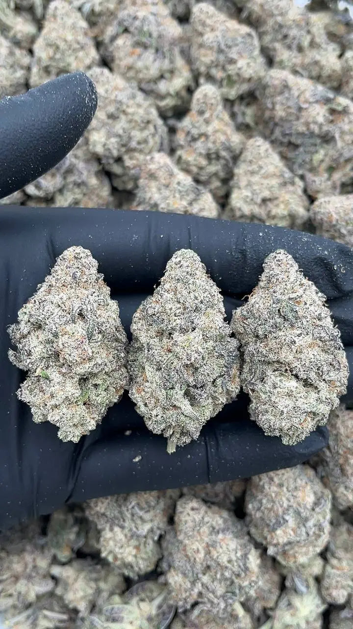 Mac 1 Elon Packs