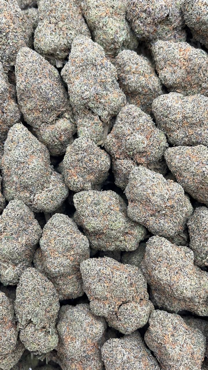 Mellow Melons Elon Packs