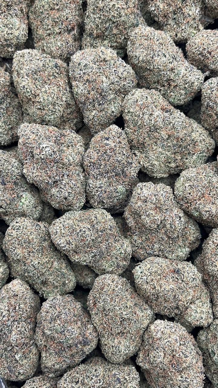 Cinnamon Gelato Elon Packs