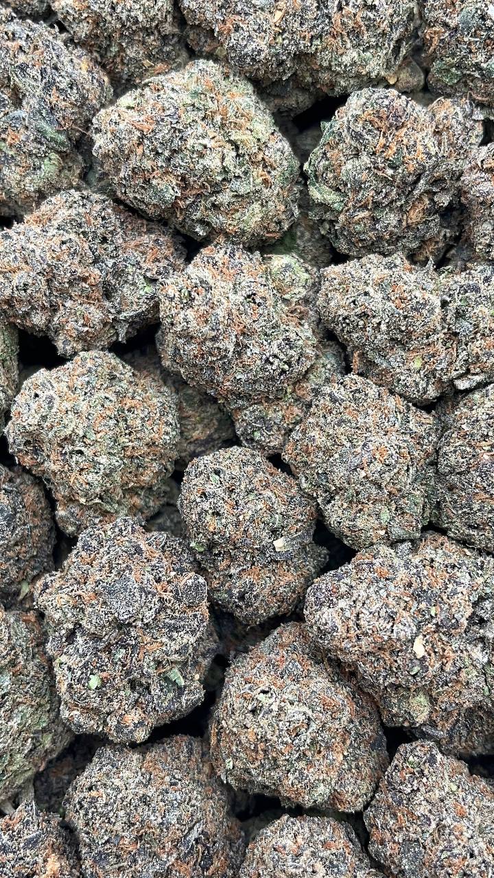 Diesel Dough Elon Packs