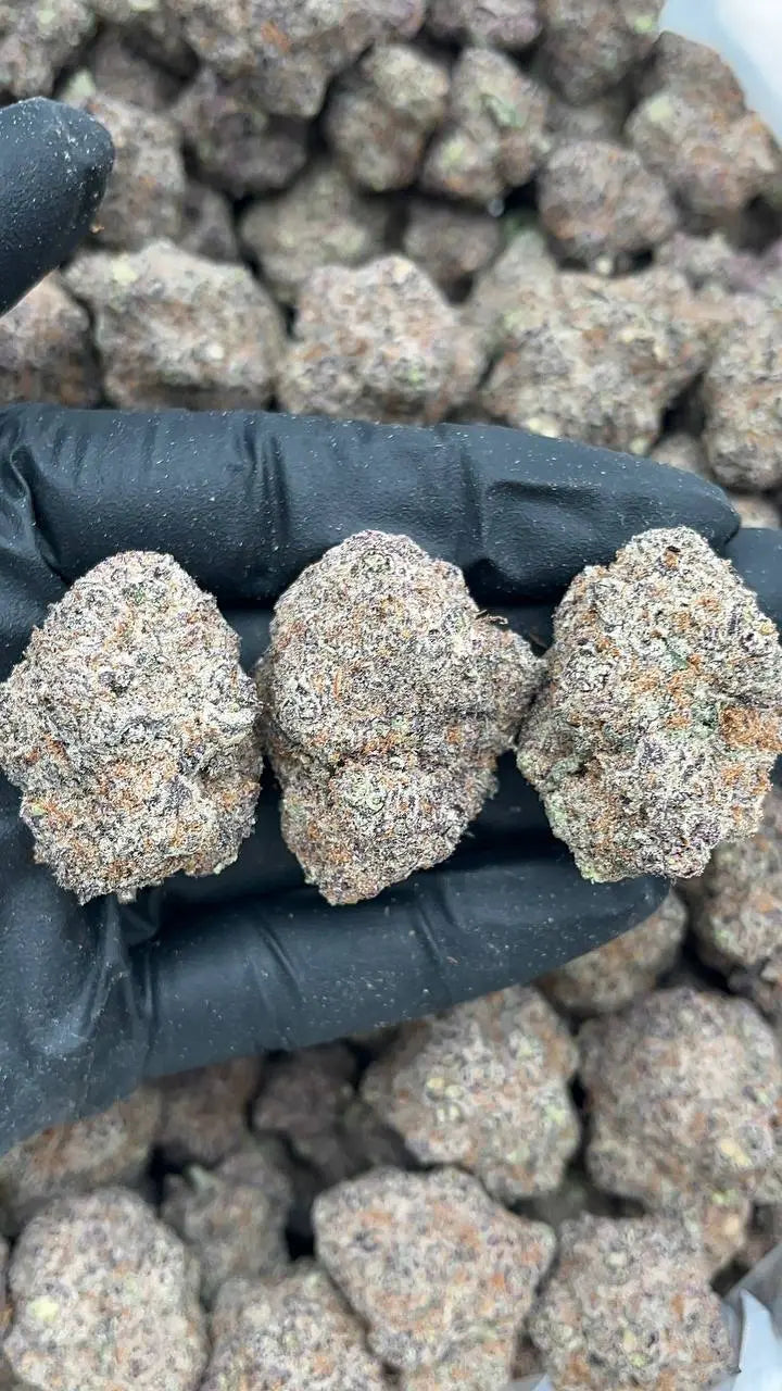 Blueberry Mojito Elon Packs