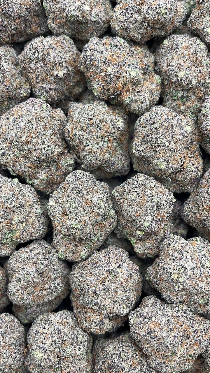 Blueberry Mojito Elon Packs