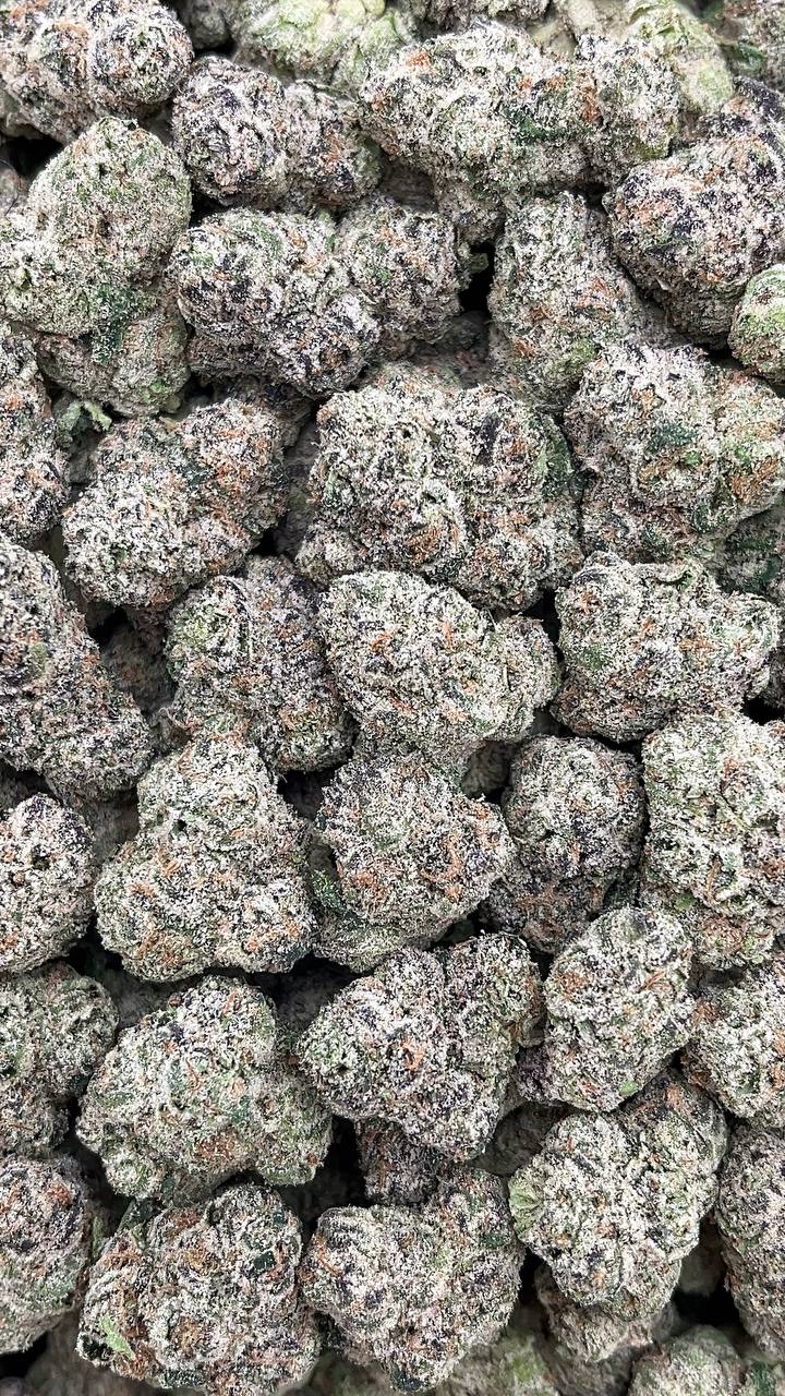 Gelato 33 Mediums (Licensed) Elon Packs