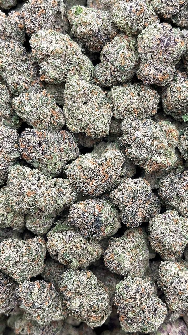 Cherry Zlushie Mediums(Licensed) Elon Packs