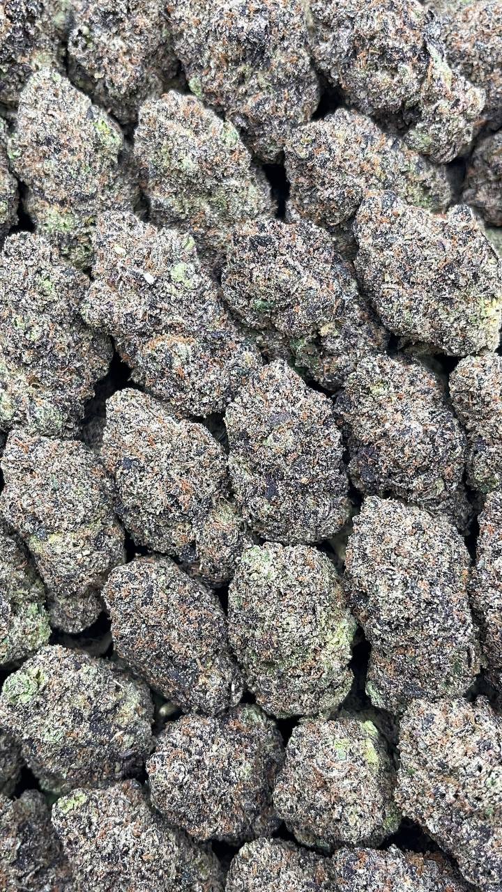 Rainbow Sherbet Elon Packs