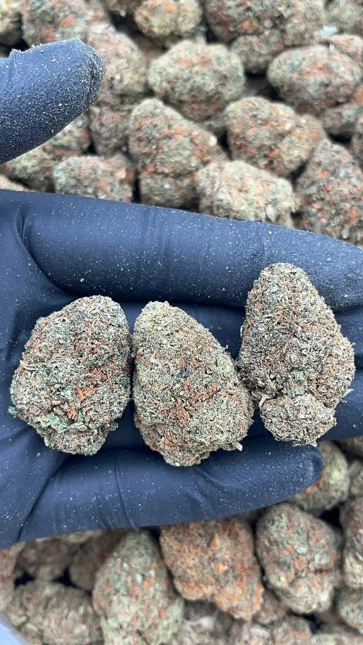 Cuban Linx Elon Packs