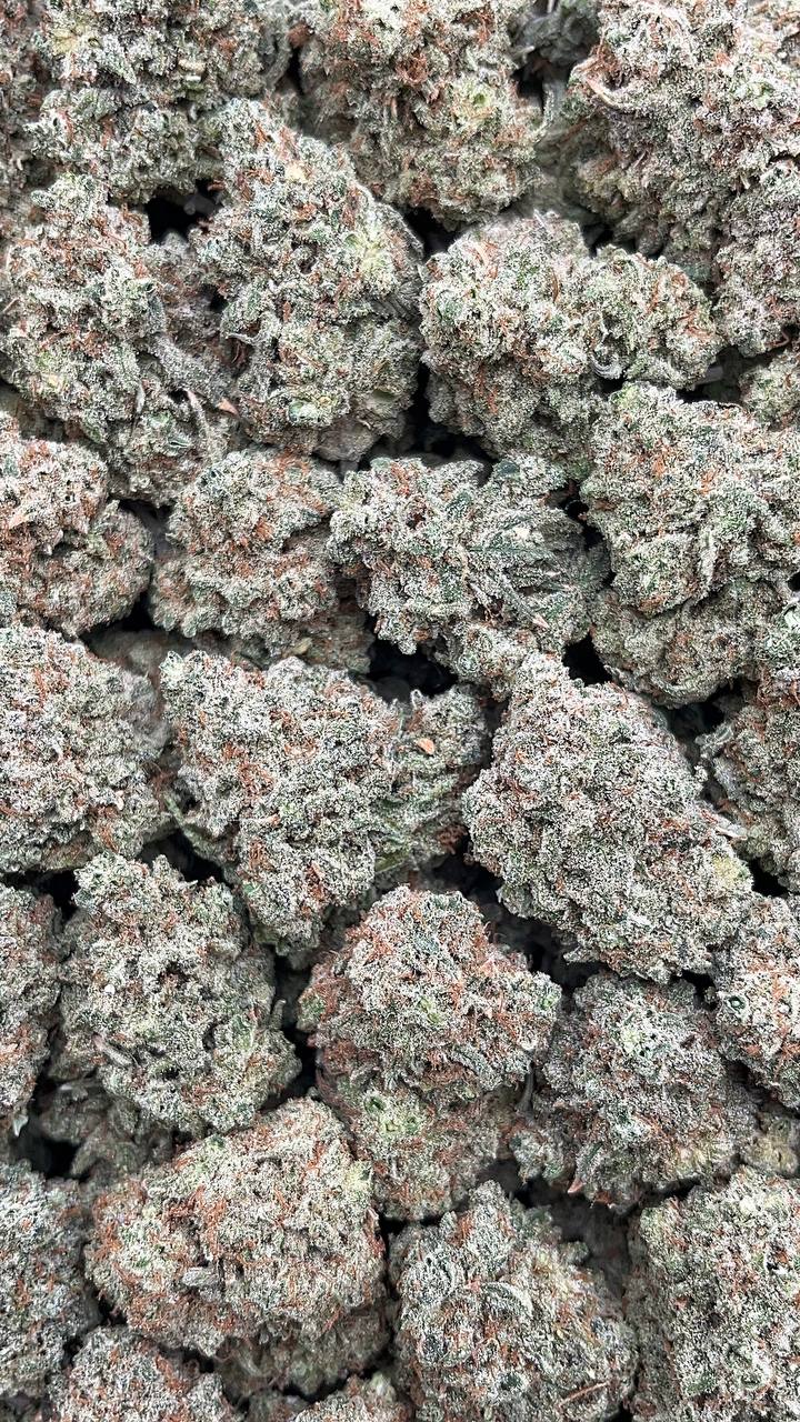 Fruity Gum Elon Packs