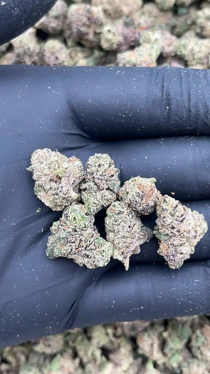 Candy Fuel Smalls Elon Packs