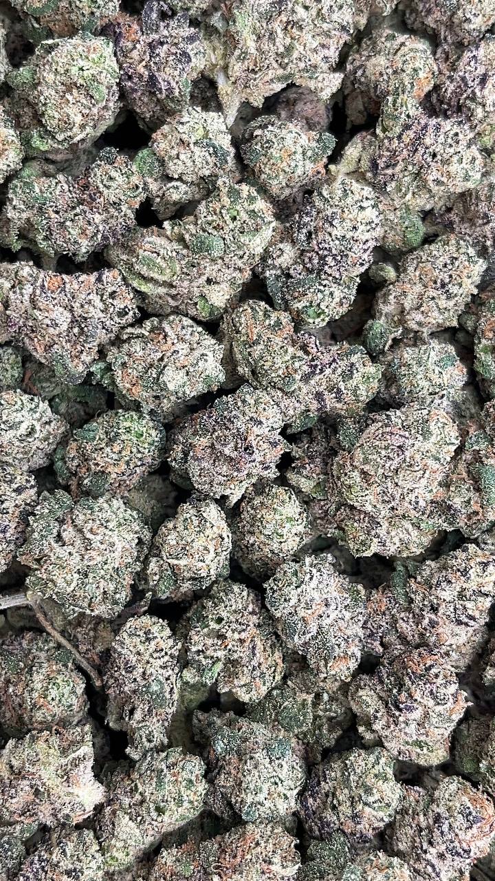 Candy Fuel Smalls Elon Packs
