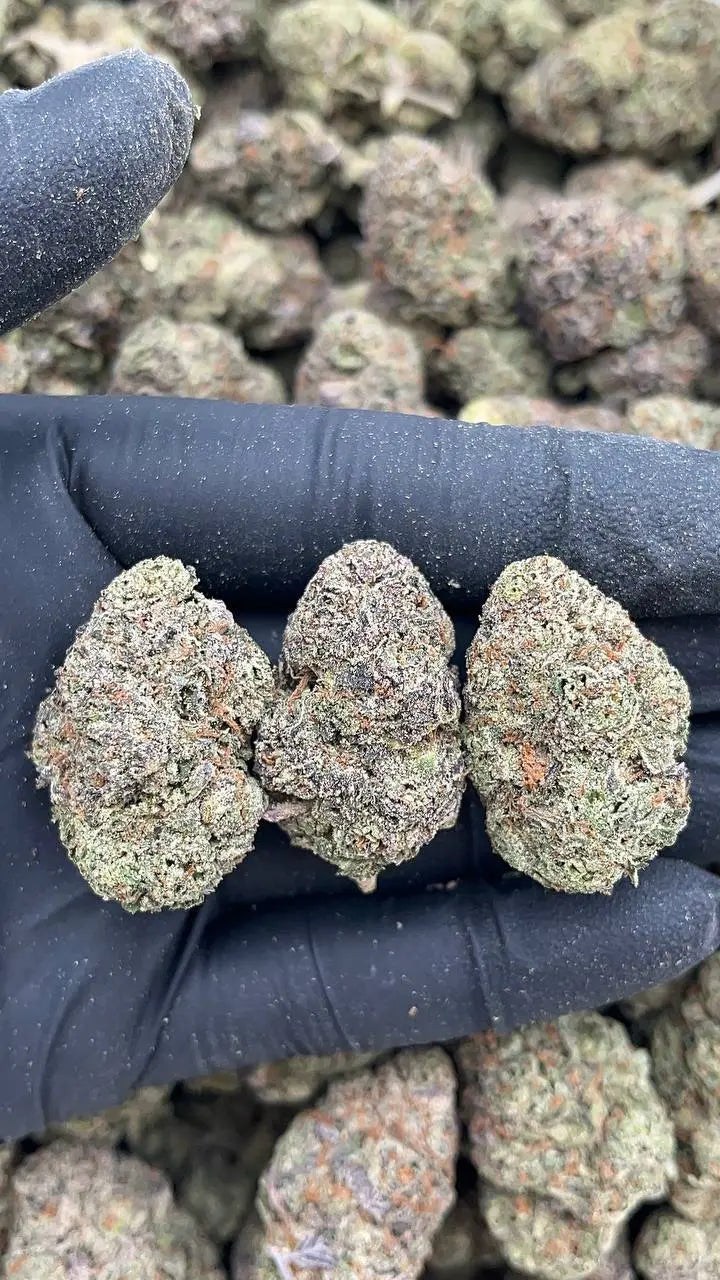Hood Candy Elon Packs