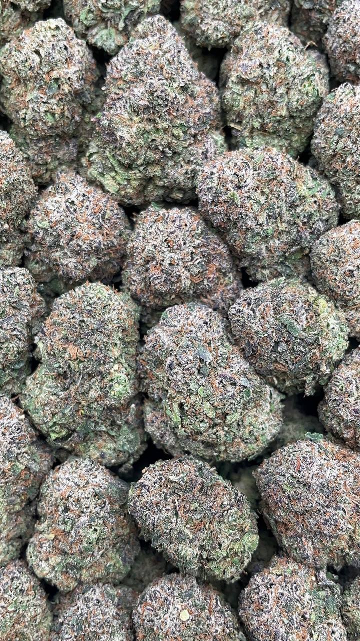 Lemon Cherry Gelato Elon Packs