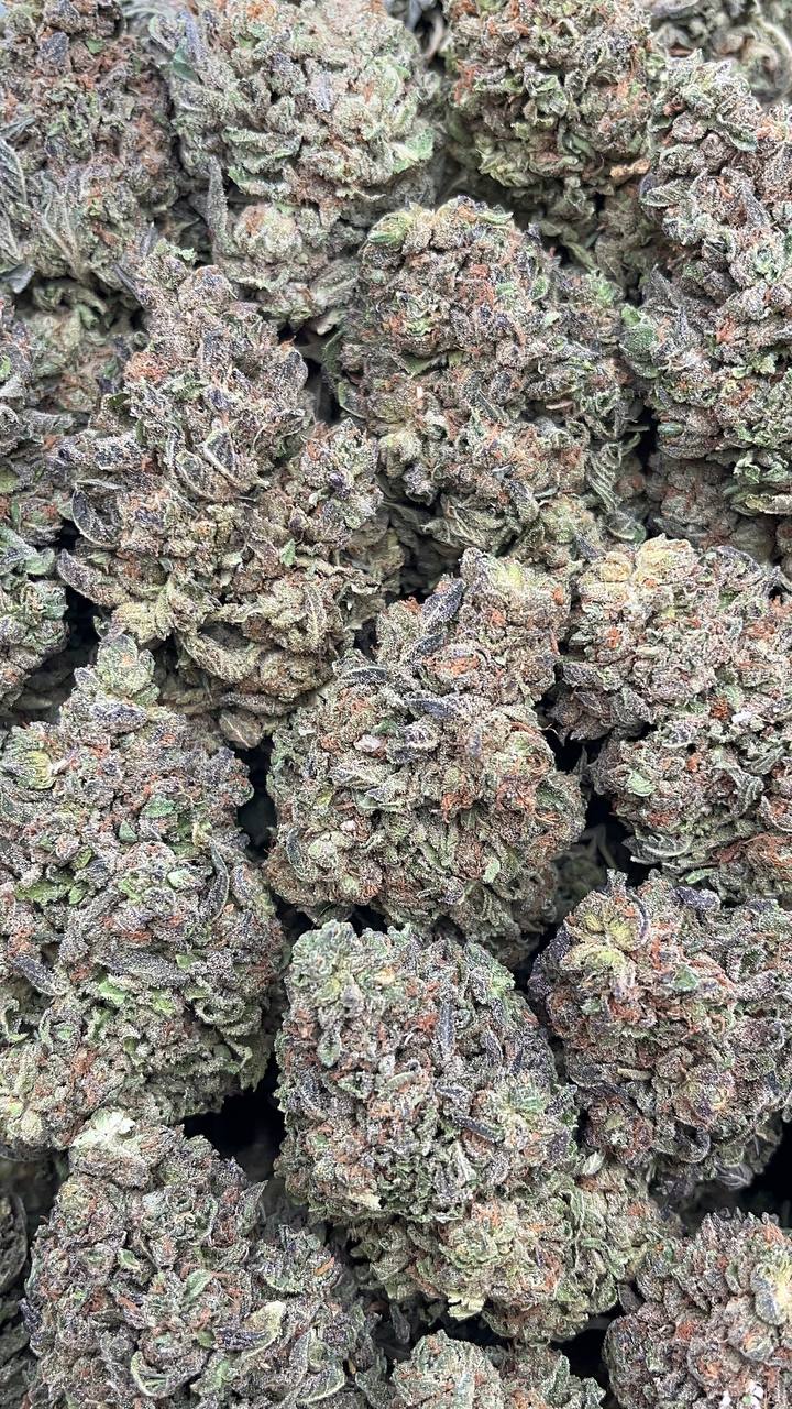 Pink Rozay Elon Packs