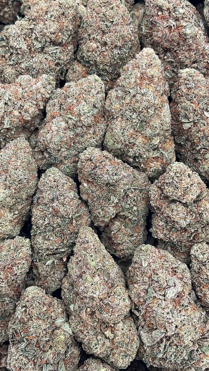 King’s Kush Elon Packs
