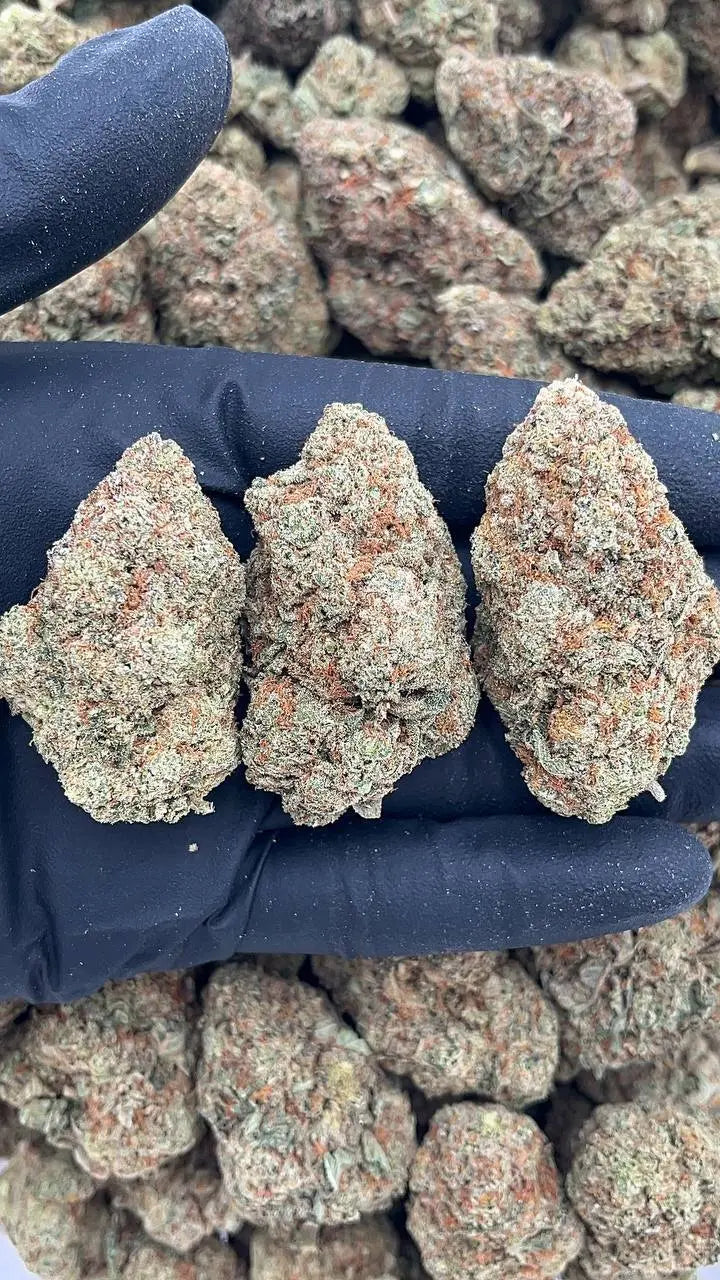 King’s Kush Elon Packs