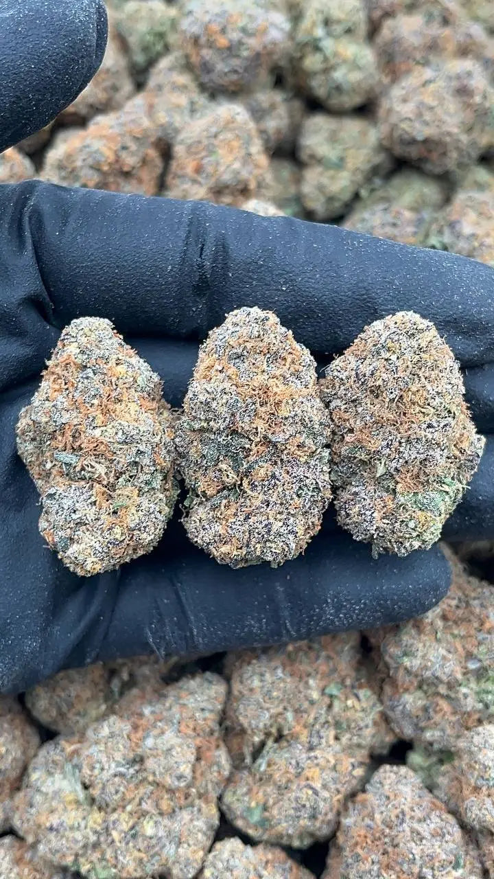 Tiger’s Milk Elon Packs
