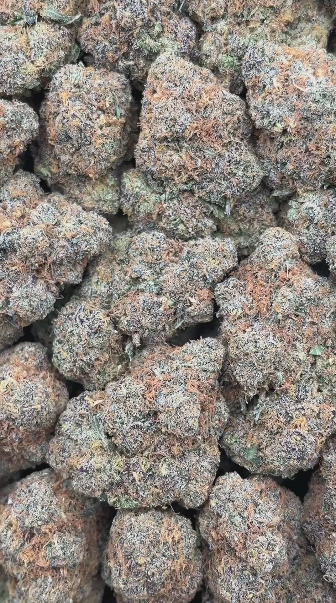 Tiger Milk
